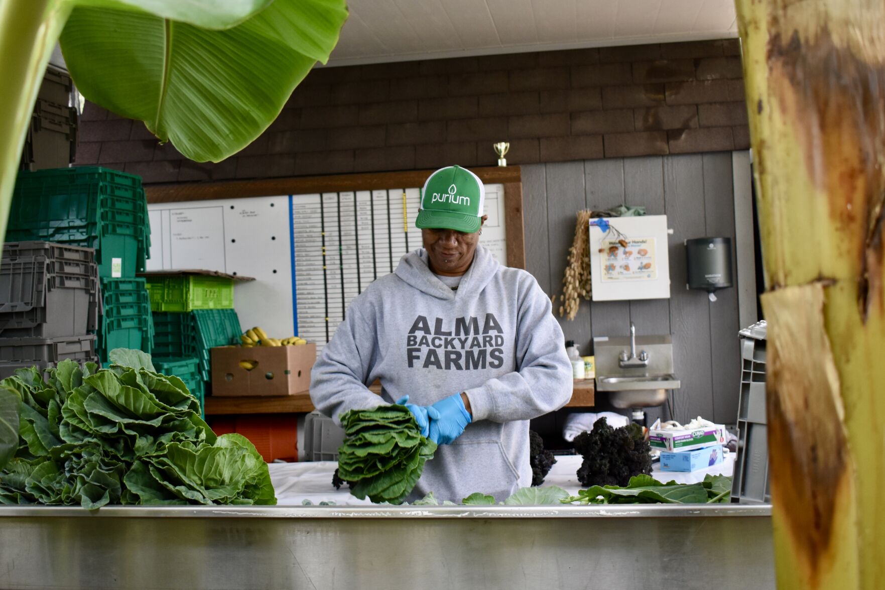 LMU alumni's Alma Backyard Farms promotes restorative justice in South LA